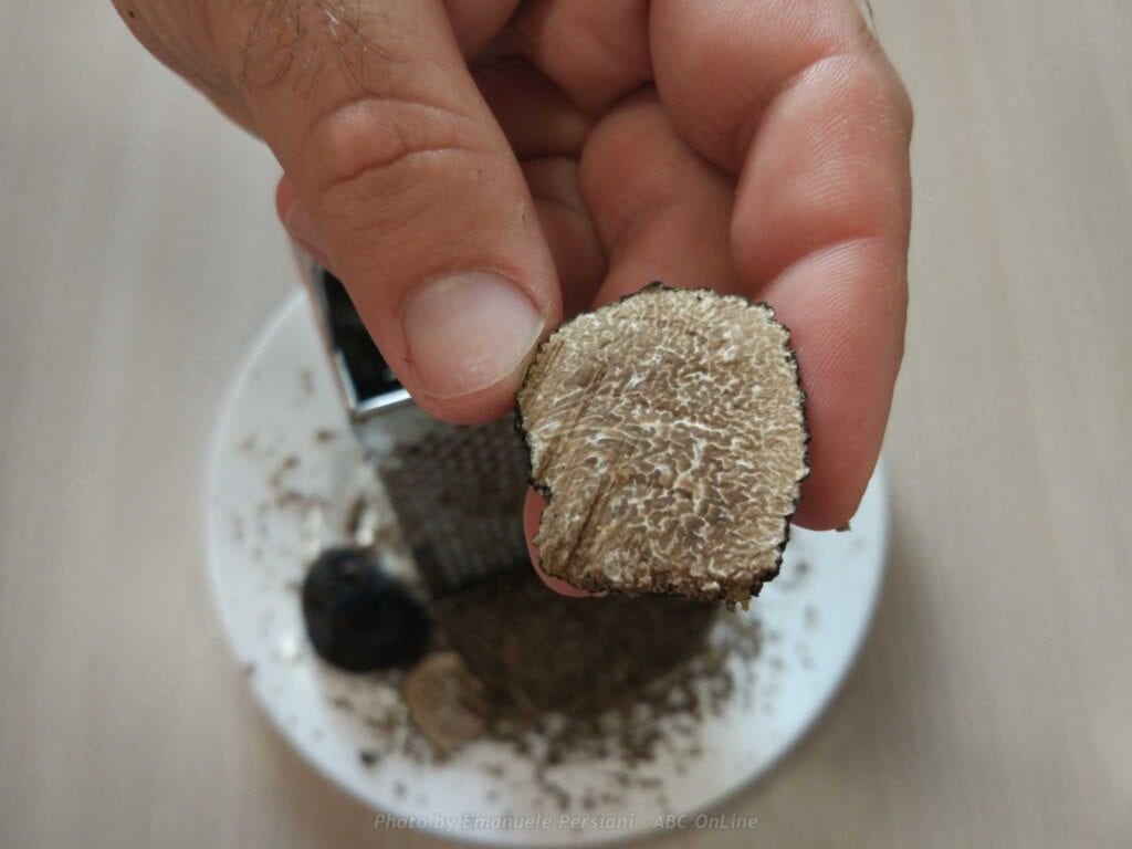 prezzo tartufo estivo